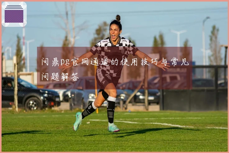 问鼎pg官网通道的使用技巧与常见问题解答