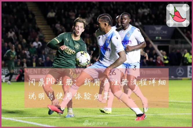 问鼎PG注册：新用户注册流程详细说明与使用体验分享