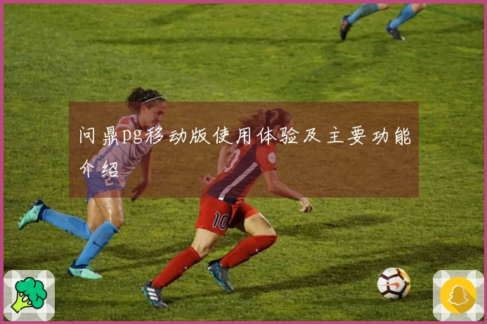 问鼎pg移动版使用体验及主要功能介绍