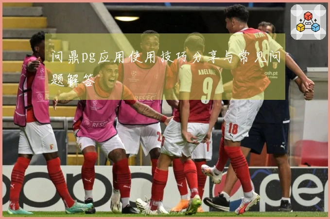 问鼎pg应用使用技巧分享与常见问题解答